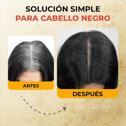 30% OFF 🔥 Champú Negro 3 en 1 – Solución rápida y natural contra las canas.