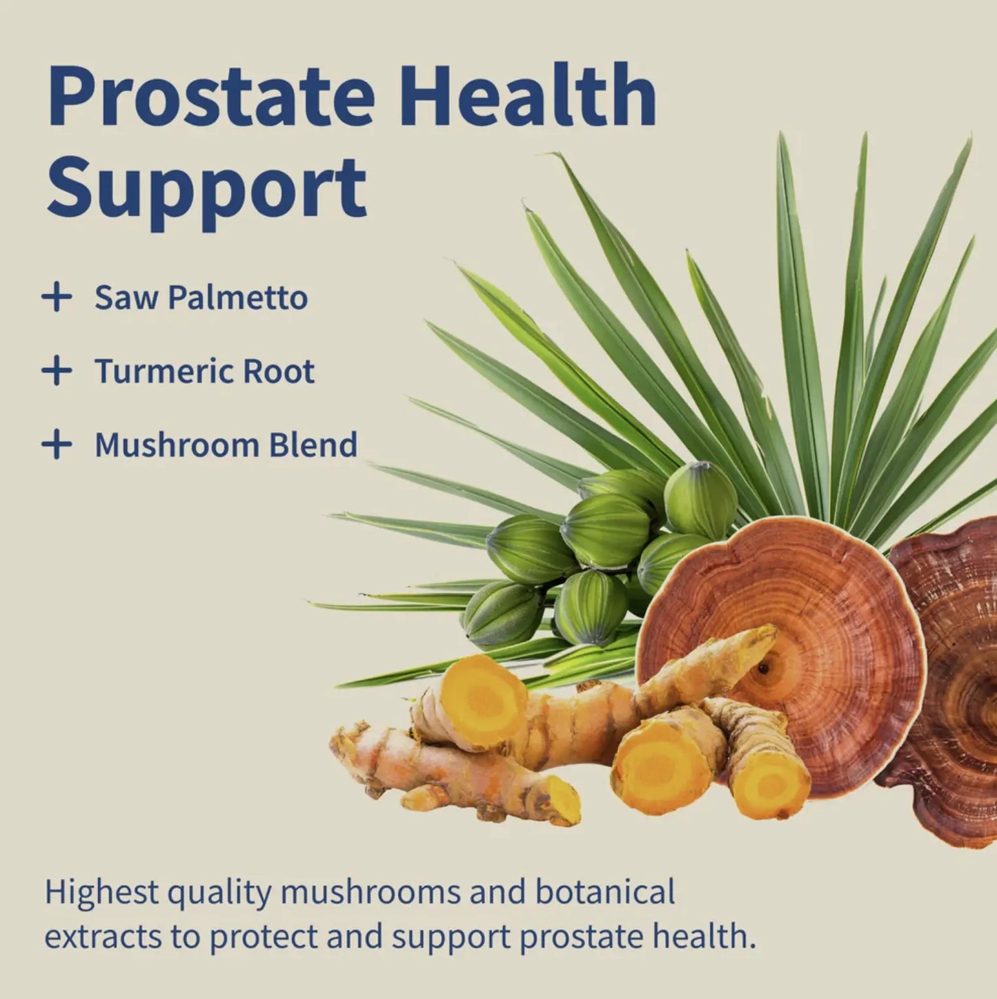 Zdrowie prostaty: Wsparcie prostaty i komfort układu moczowego